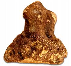 Lyngrót / Heather tree root L (for a dogs 15-25kg)