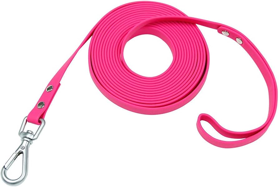 Leash Waterproof Training 5M