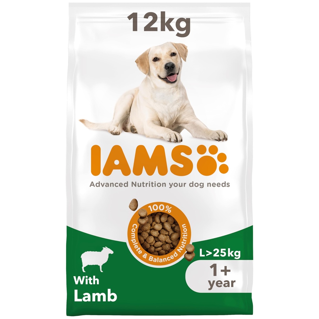 IAMS Advanced Nutrition Large Breed Adult Dog Food (Lamb) 12kg