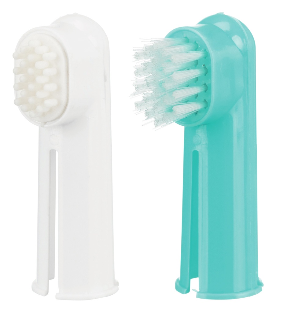 dental care set