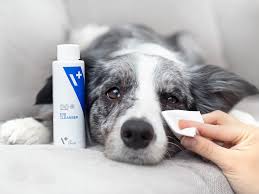 VET EXPERT Eye Cleanser 100ml (dogs&cats)