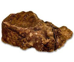 Heather tree root M