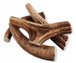 dádýrahorn/deer antlers M (for a dogs 10-15kg)