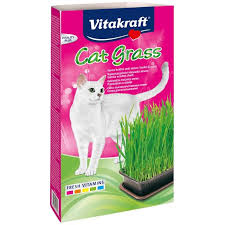 Fast-growing grass, a treat for cats 150g