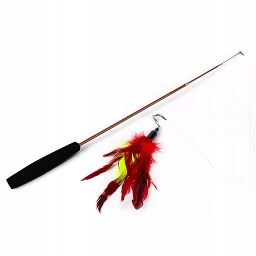 Cat fishing rod with feathers