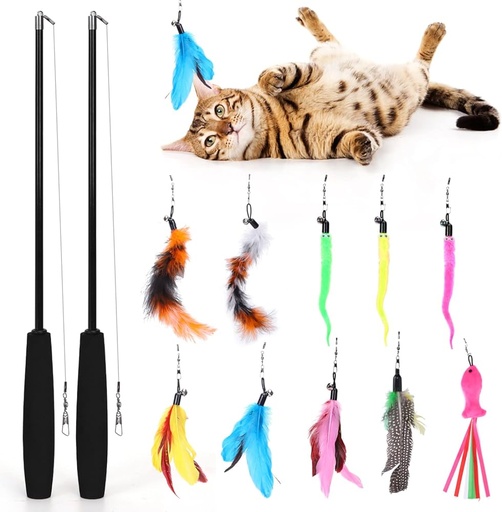 Fishing rodx2, 9pcs