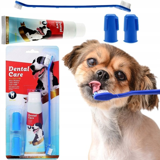 Dental Care Set