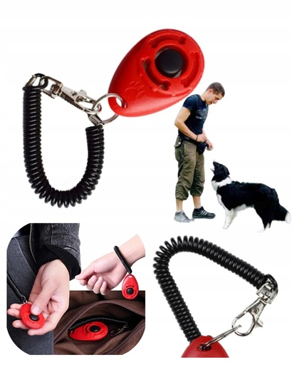 Training Clicker