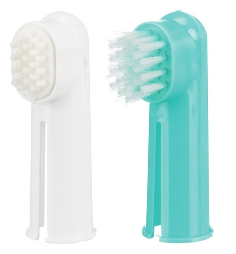 dental care set