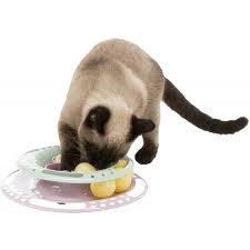 Junior Kitten Circle 24 cm