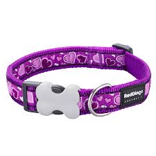 cat collar purple