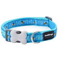 cat collar